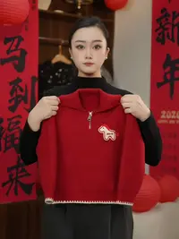 【马到吉祥】2025冬季男童卡通小马毛衣yL1109