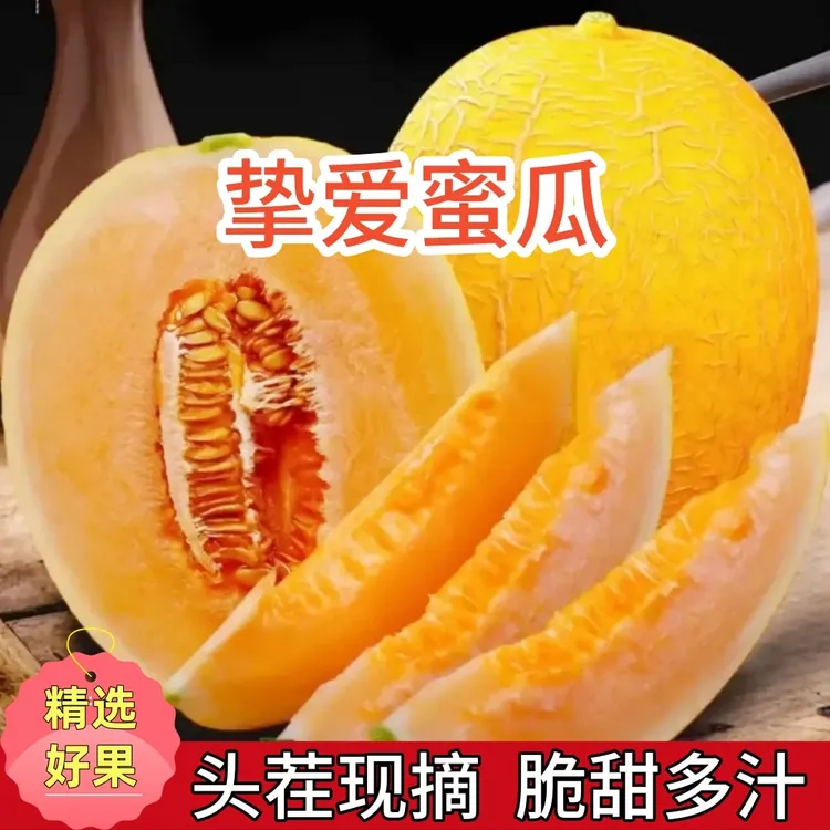 【精选】金色年华至爱黄金哈蜜瓜新鲜应季水果脆甜多汁2.5-9斤包邮