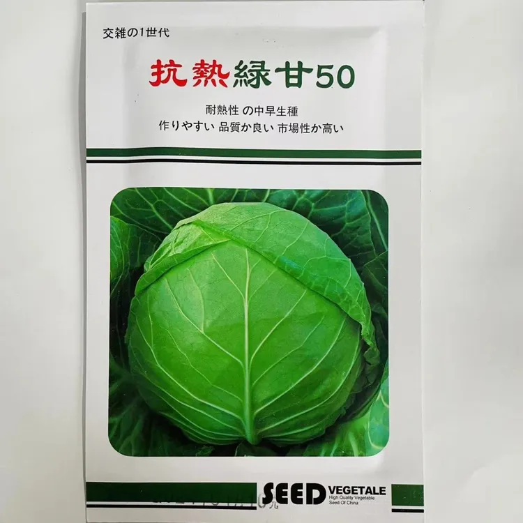 耐热甘蓝种子包心菜种籽卷心菜耐裂球抗热绿甘春夏秋季种植