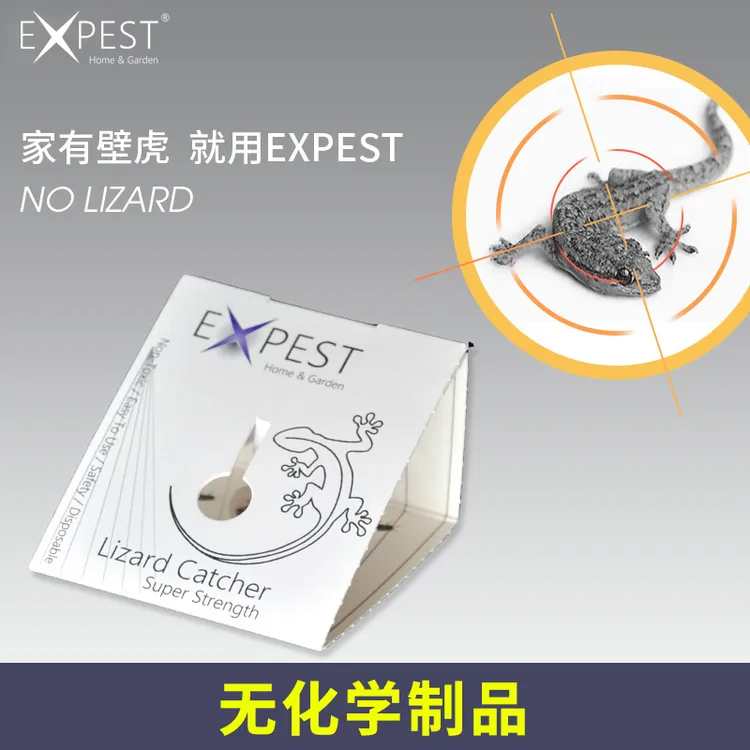 EXPEST抓壁虎神器驱赶壁虎粘爬虫小强粘板壁虎家用