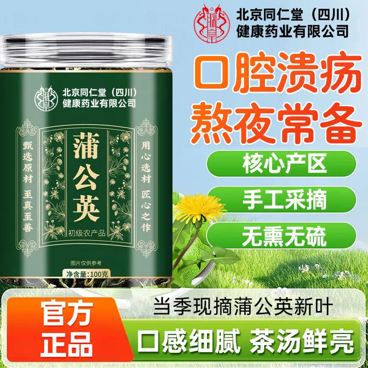 蒲公英罐装煮水泡养生茶新鲜嫩芽搭花茶和太医8