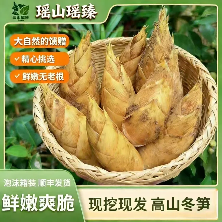 京东包邮新鲜现挖高山两头尖冬笋肉厚脆嫩饱满