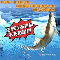 新疆额尔齐斯河有机雪龙鱼净重3.5斤4条装(双仓顺丰空运/冷运发货