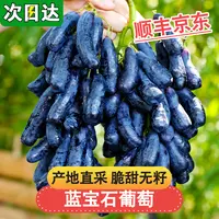 现货明日达【基地直采】JJ云南蓝宝石葡萄新鲜当季水果金手指无籽黑提0.5-4斤云南省