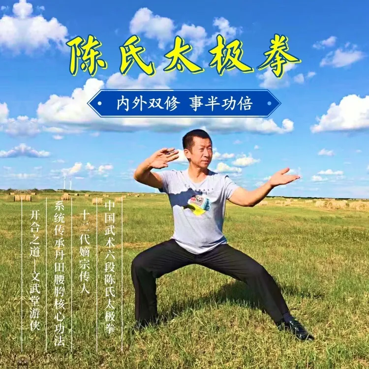 陈氏太极拳老架一路精讲精练全套合集
