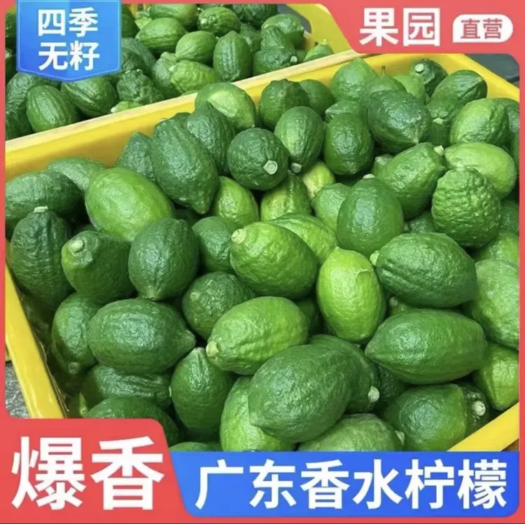广东无籽香水柠檬饮品店酒吧商用专用新鲜香柠檬厚皮二级花皮小果
