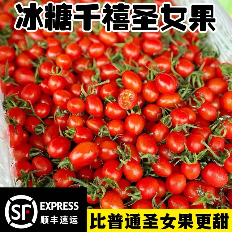 【顺丰包邮】冰糖千禧小番茄圣女果酸甜爆汁应季水果产地现摘现发