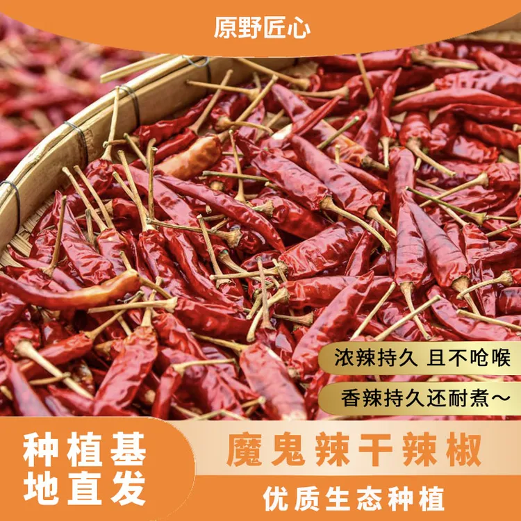 当季新鲜精品辣椒特辣自然晒干特辣香辣多种口味干辣椒农家红辣椒