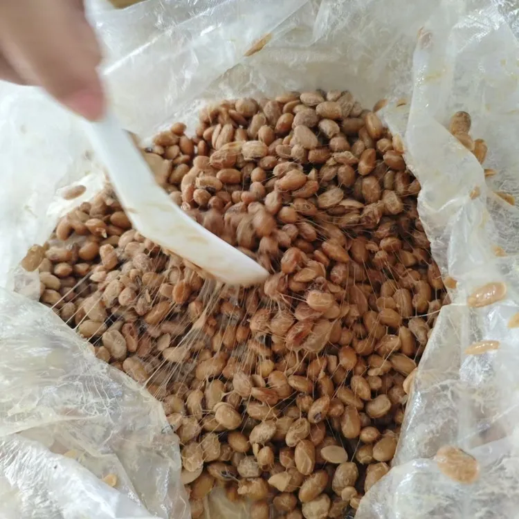 湿豆豉湖南特产 古法发酵拉丝臭豆鼓原味