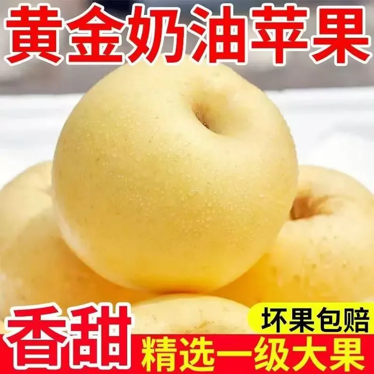 紫玉环当季奶油富士黄金苹果脆甜多汁现摘现发2/5/9斤整箱包邮