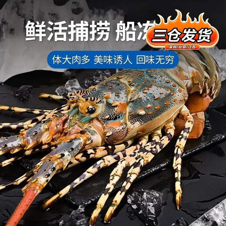 海泽鲜东南亚进口 冰鲜活冻锦绣大花龙 年货送礼海鲜大虾