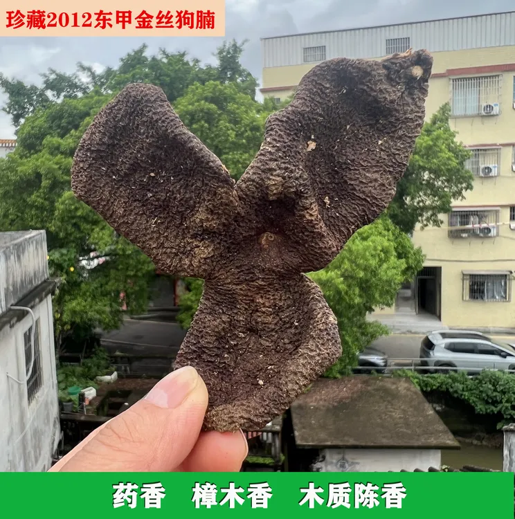 新会陈皮2012东甲金丝狗腩皮精选整皮礼盒装药香木质陈香樟木香