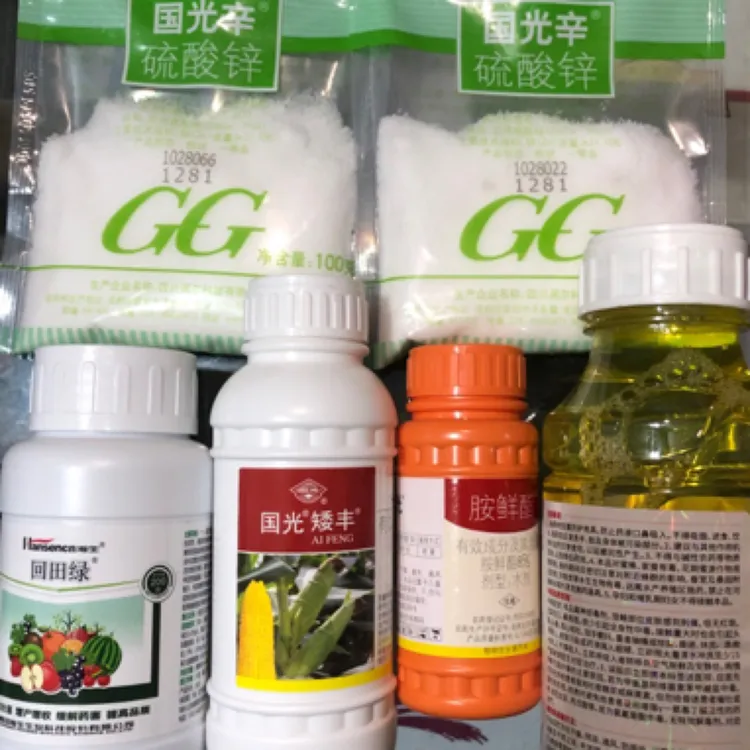 国光玉米矮丰1组10亩地玉米6-8叶使用效果最佳杀虫抗倒伏营养增产
