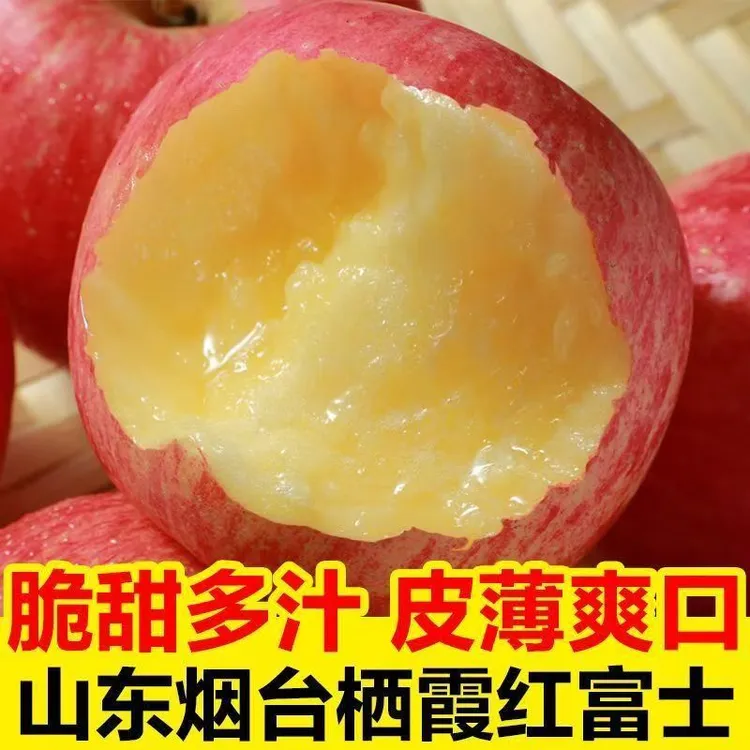 正宗山东烟台红富士苹果新鲜脆甜当季水果原产地直发4.5-9斤