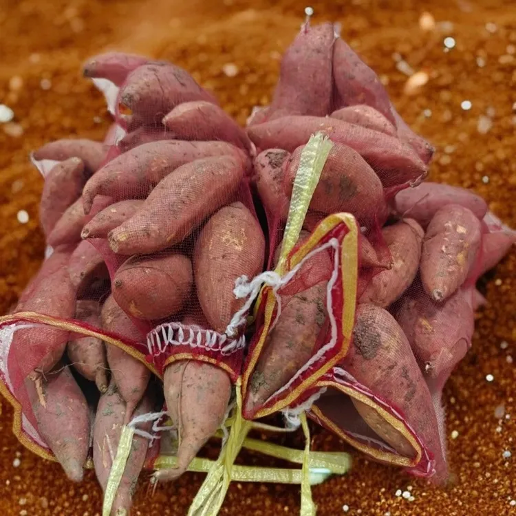 【黄书记推荐】新鲜蜜薯软糯香甜无筋无丝红薯粗粮