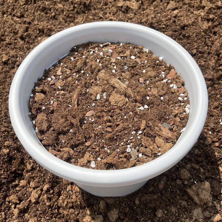 蓝莓专用土基质土营养土0-40粗颗粒泥炭土松磷松树皮珍珠岩混合