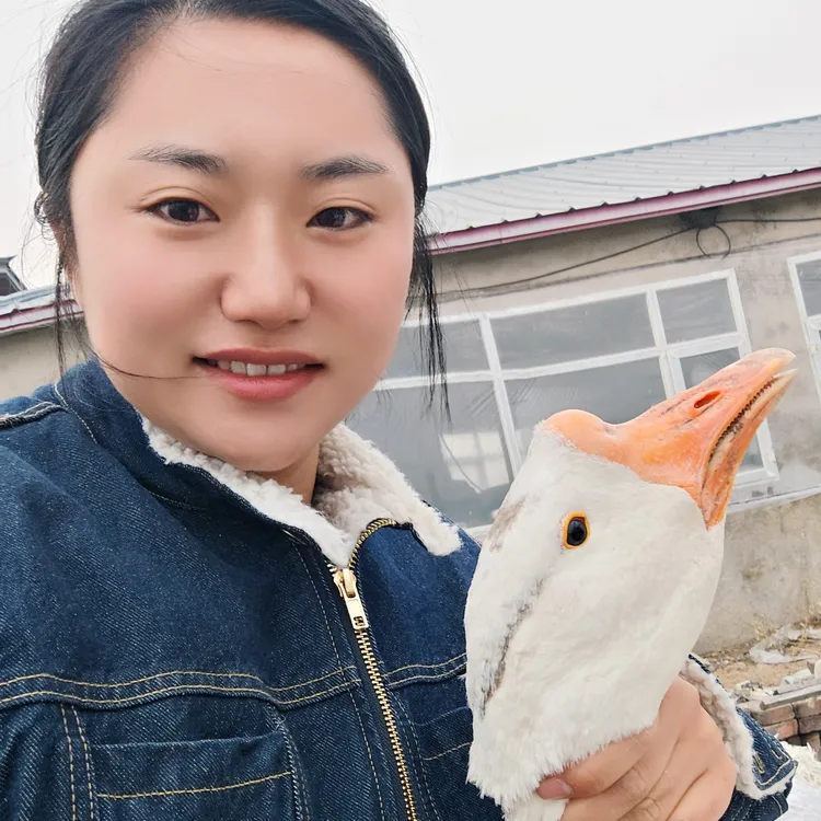 东北寒露 农村散养的笨大鹅 冷冻发货 顺丰包邮