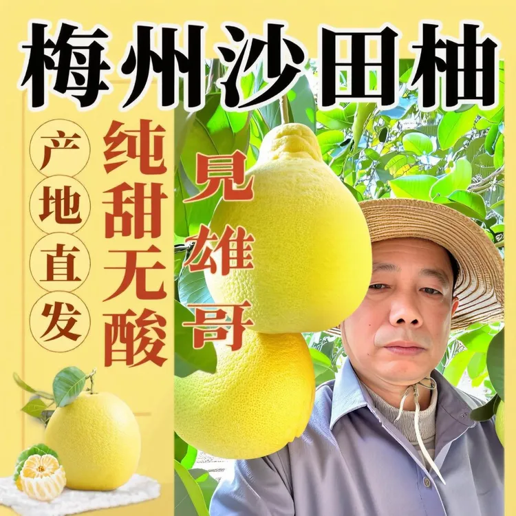 梅县老树沙田柚香柚梅州纯甜耐放柚子叶正宗多地包邮5斤