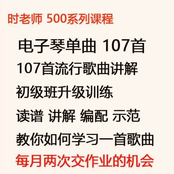 【三选一】时老师电子琴/钢琴课