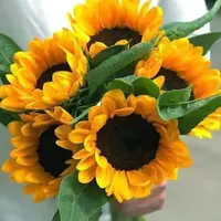 【3枝 向日葵】全场鲜花任意满两单升级顺丰 送货上门