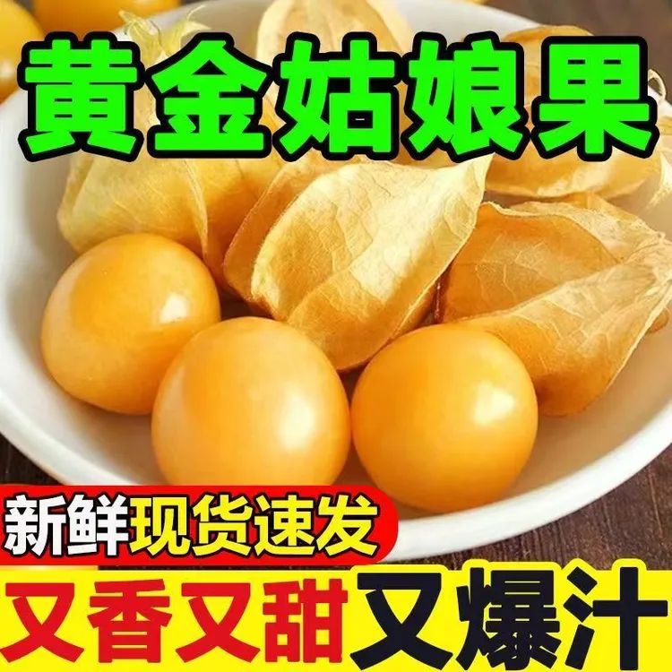 云南姑娘果新鲜采摘高原特产酸甜可口营养丰富天然孕妇水果爆甜