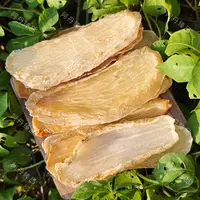 【阿丹臻品】天麻 农家土特产