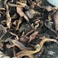 【张大庆】农产品蘑菇肉蘑黑一些的
