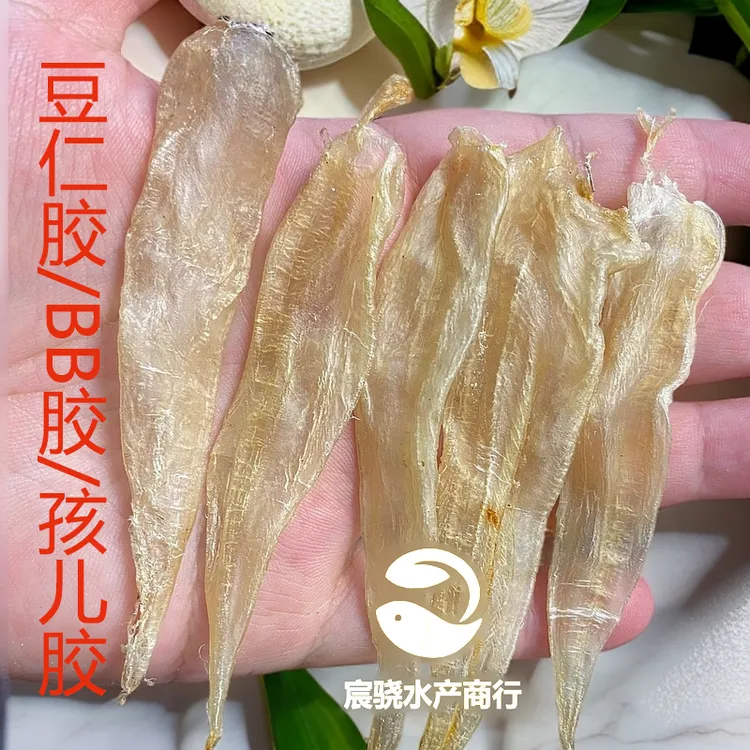【直播专享】精选上品孩儿胶BB营养胶豆仁胶天然鱼胶清水足干老花胶
