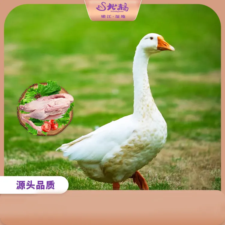 北鹅 草原狮白鹅 6～6.3斤/7～8斤*1只 新鲜冷冻鹅肉