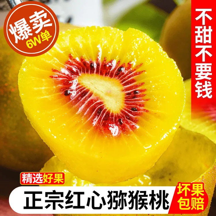 正宗四川蒲江红心猕猴桃产地直发特产奇异果应季新鲜孕妇水果整箱