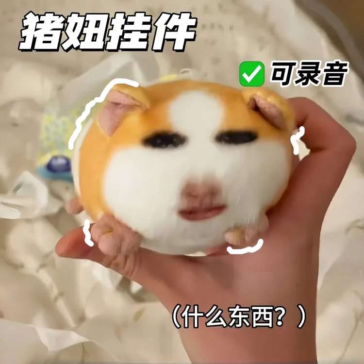 猪妞发声挂件搞怪荷兰猪毛绒公仔可录音说话的月半胖猫表情包玩偶