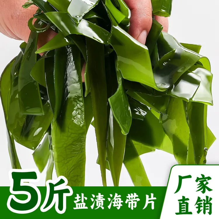大连新鲜盐渍海带切片【不是整颗海带】海带片5斤火锅麻辣烫食材