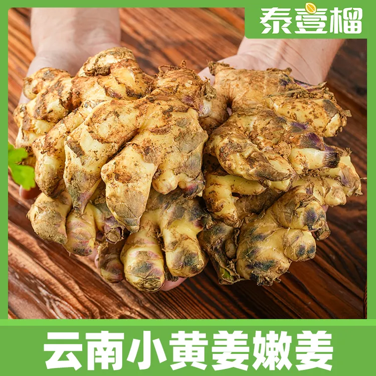 云南高山小黄姜现挖生姜农家姜可泡姜姜味十足当季蔬菜
