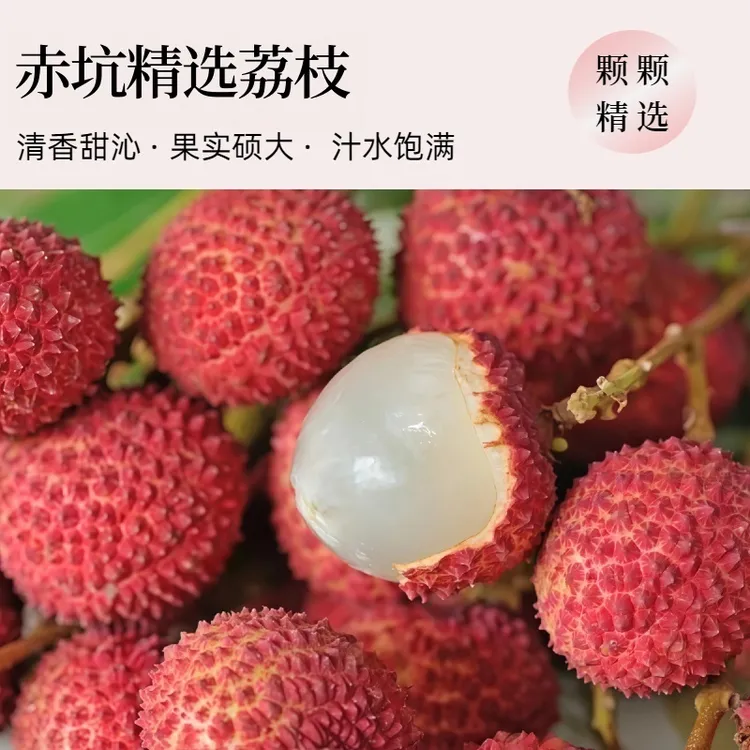 广东赤坑桂味荔枝（五斤装）现摘新鲜不泡水应季水果京东包邮