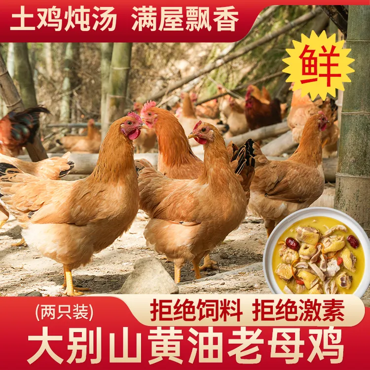 【黄油老母鸡】2只装 单只2.4-2.9斤谷物喂养 顺丰包邮