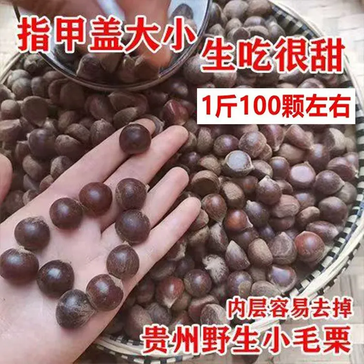 【小板栗野生】贵州板栗新鲜野生板栗生圆栗油栗毛栗子生尖毛栗当季