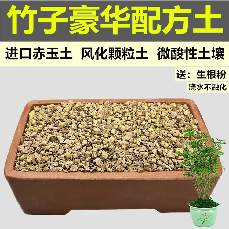 竹子专用土盆景盆栽赤玉土风化土营养颗粒土酸性红沙土种植土