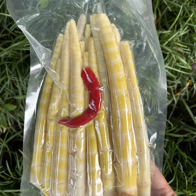 瓦屋山新鲜竹笋  笋尖脆嫩 可煮火锅 凉拌 炒等食用