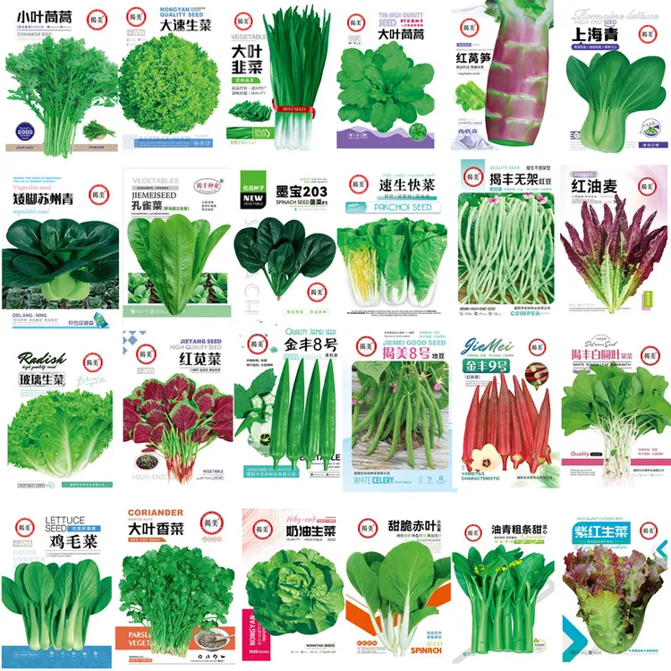 揭美蔬菜种子大全四季青菜种籽阳台盆栽农家高产生菜秋葵蔬菜种子