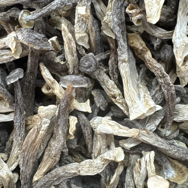 高山鹿茸菇干货无硫熏可炖汤炒腊肉的农家特产脆脆菇