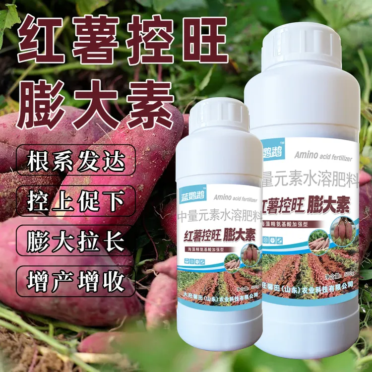 蓝鹦鹉红薯专用控旺膨大素增产增收控上促下防畸型防裂果高产农肥