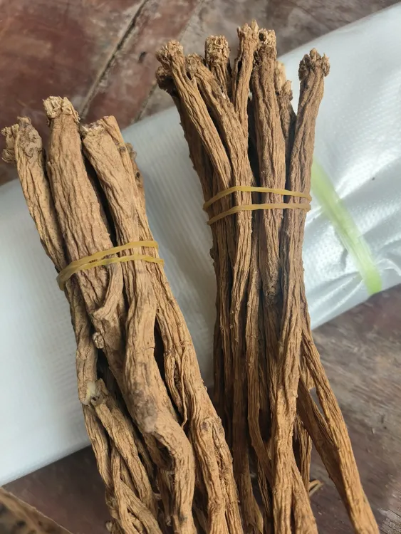 贵州党参自然晾晒（党渣）