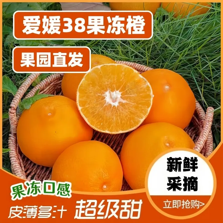 【爆甜多汁】新鲜采摘四川爱媛果冻橙产地直供果肉饱满入口清甜