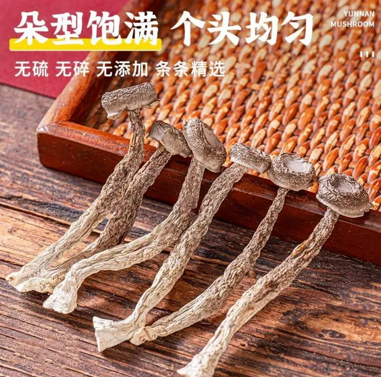 干货鹿茸菇菌菇无硫无熏可炒肉煲汤农家特产正宗