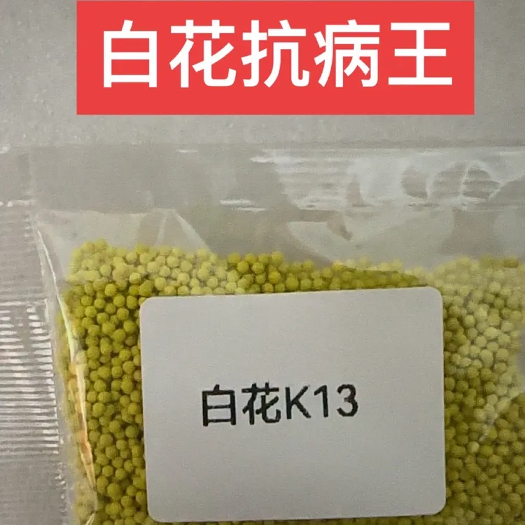 白花K13、抗病王k326升级