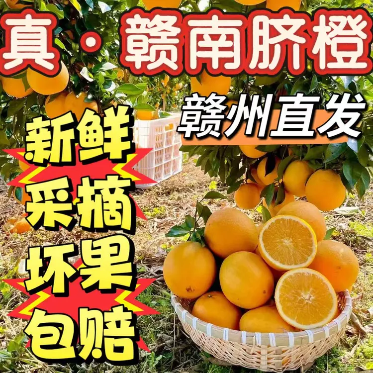 正宗（赣南脐橙）10斤装果园现摘现发一件批发价当季水果爆款热卖
