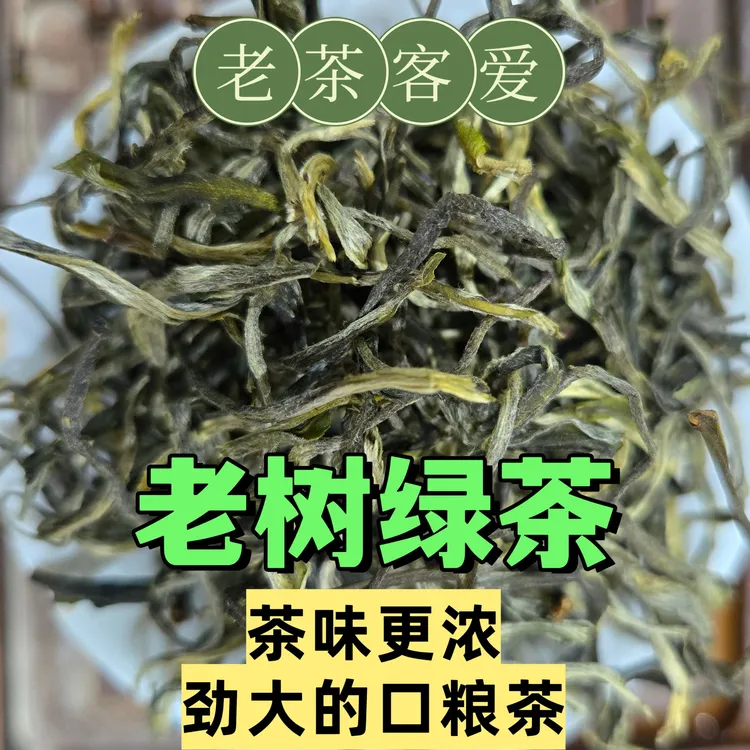 【老树普洱绿茶】2025云南老树绿茶浓茶罐罐茶老树高山浓茶口粮茶