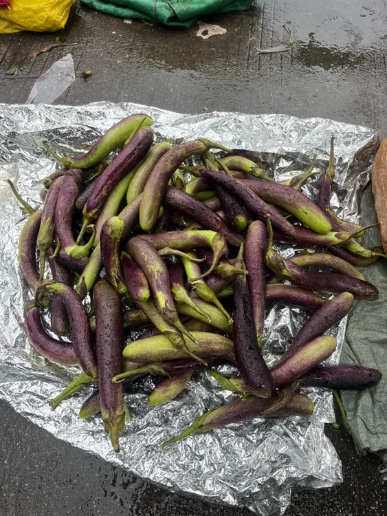 农家茄子新鲜老品种紫茄青茄露天种植现摘现发应季蔬菜