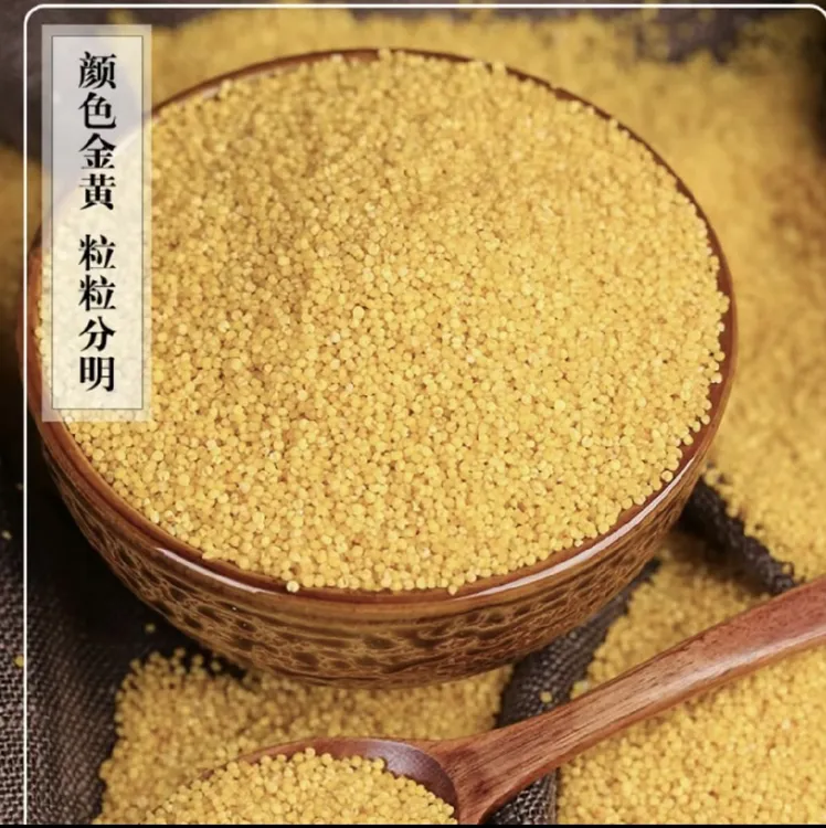 农家黄小米优质杂粮养胃营养香糯米脂小米熬粥