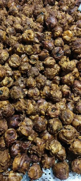 酱香全熟牛眼睛（开袋即食可凉拌烧烤爆炒）